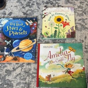 Usborne book lot
